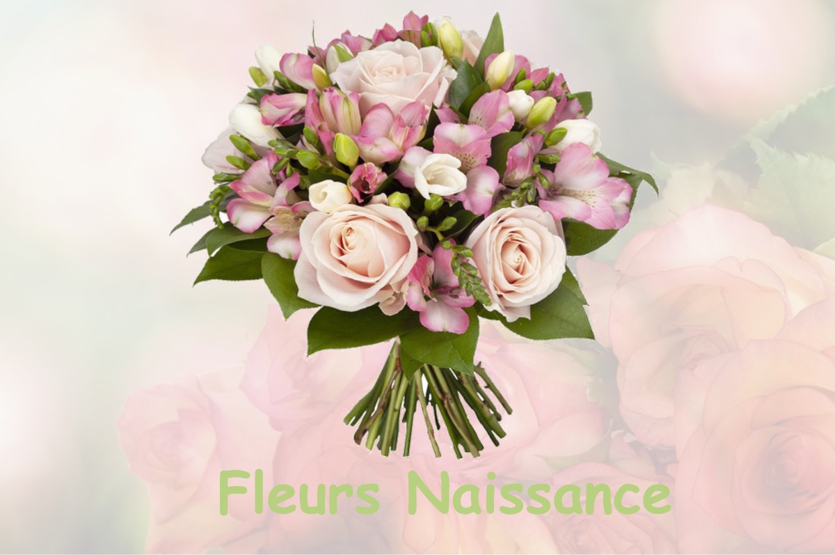 fleurs naissance LENTIOL