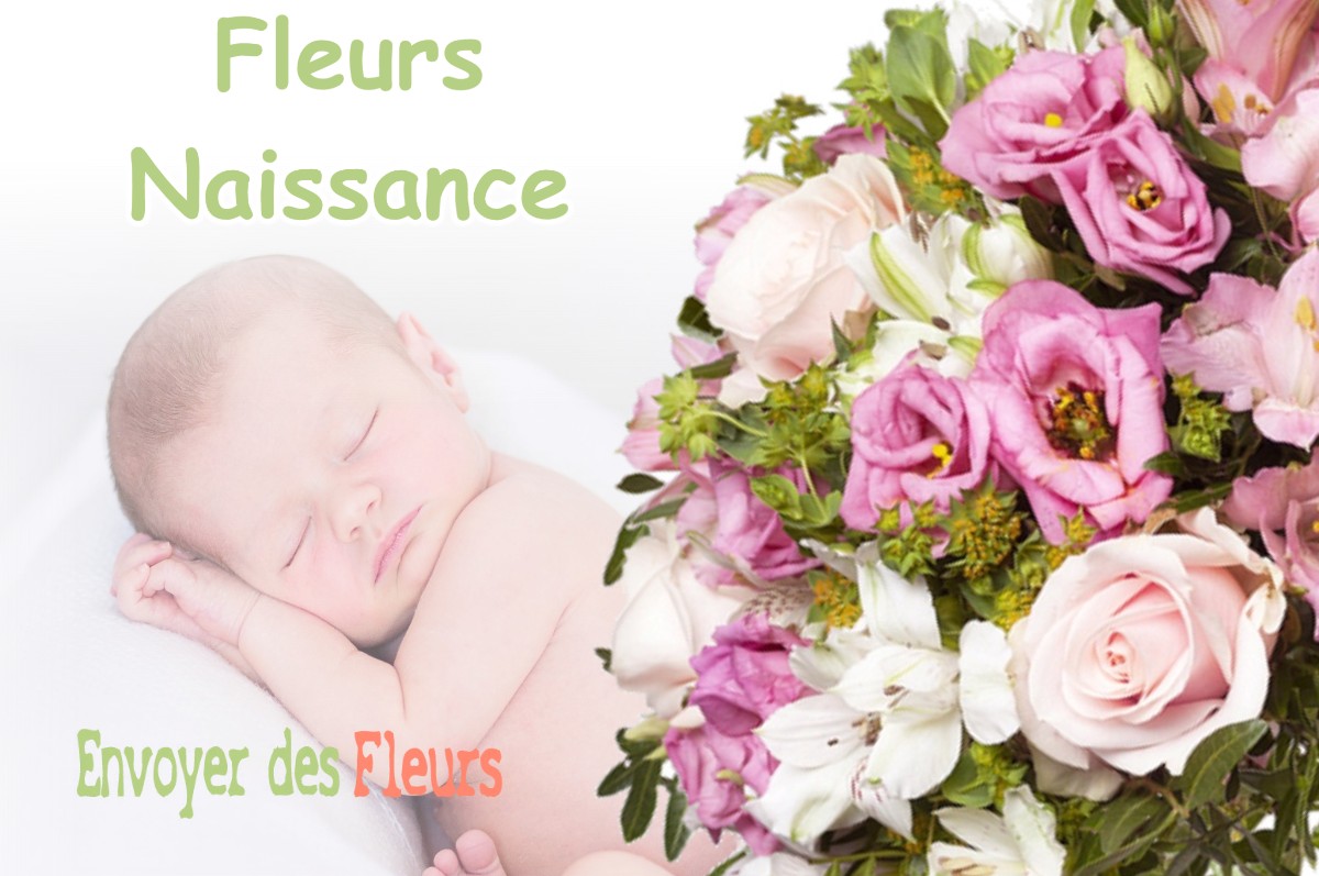 lIVRAISON FLEURS NAISSANCE à LENTIOL